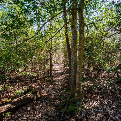 Best Hiking